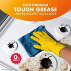 Bleach-Free New Day Cleaning Spray, Commercial-Size, Eliminates Grease And Soap Scum Easily