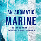 Automatic Spray Air Freshener Refill 6.2 oz Sea Mist & Cypress Scent Fresh Collection 6 Pack