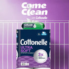 Flushable Wet Wipes with Aloe & Vitamin E, 4 Flip-Top Packs, 42 Wipes Each, 168 Total, Gentle & Moisturizing