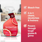 Bleach-Free Multi-Surface Cleaner Spray, Grapefruit & Orange Blossom, 32 fl oz