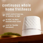 Febreze Plug Scent Booster, Air Freshener, Scented Oil Diffuser, Gain, Starter Kit + 1 Refill