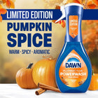 Dawn Limited Pumpkin Spice Scent Powerwash Dish Spray Fast Acting Degreasing Foam | Multi-scene Household Cleaner Ideal For Festive Kitchen Daily Cleaning And Fabric Stain Treatment