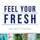 Automatic Spray Air Freshener Refill 6.2 oz Sea Mist & Cypress Scent Fresh Collection 6 Pack