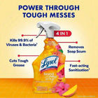 Bleach-Free New Day Cleaning Spray, Commercial-Size, Eliminates Grease And Soap Scum Easily