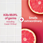 Bleach-Free Multi-Surface Cleaner Spray, Grapefruit & Orange Blossom, 32 fl oz