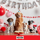Celebrate Birthday Cake Artificially Flavored Biscuits, Small Dog Treats, 8 oz. Bag