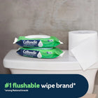 Flushable Wet Wipes with Aloe & Vitamin E, 4 Flip-Top Packs, 42 Wipes Each, 168 Total, Gentle & Moisturizing