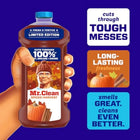 Mr. Clean All Purpose Cleaner, Cleaning Liquid, Spiced Harvest, 41oz