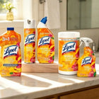 Bleach-Free New Day Cleaning Spray, Commercial-Size, Eliminates Grease And Soap Scum Easily