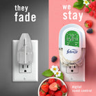Febreze Plug Triple Refill Air Freshener - Berry & Bramble - 3ct: Oil Scent Enhancer, Electric Powered